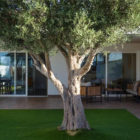 Pasito Blanco Villas *